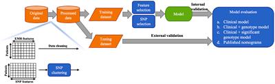 A nomogram based on genotypic and clinicopathologic factors to predict the non-sentinel lymph node metastasis in Chinese women breast cancer patients
